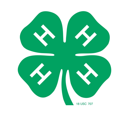 READY TO MAKE THE BEST BETTER? JOIN 4-H TODAY (CLUB MEETING ACTIVITY)
